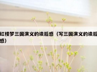 红楼梦三国演义的读后感（写三国演义的读后感）