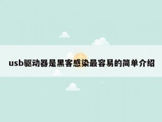 usb驱动器是黑客感染最容易的简单介绍