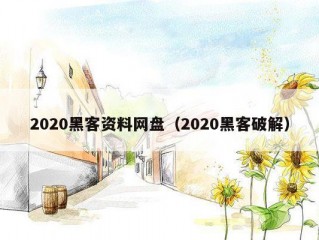 2020黑客资料网盘（2020黑客破解）