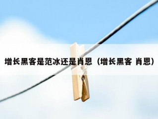 增长黑客是范冰还是肖恩（增长黑客 肖恩）