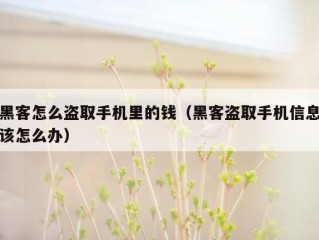 黑客怎么盗取手机里的钱（黑客盗取手机信息该怎么办）