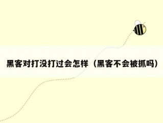 黑客对打没打过会怎样（黑客不会被抓吗）